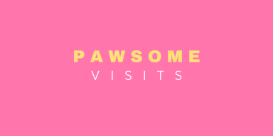 pawsome visits 