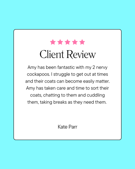 reviews from clients 